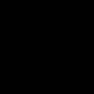 Meet your Posher, Rubby